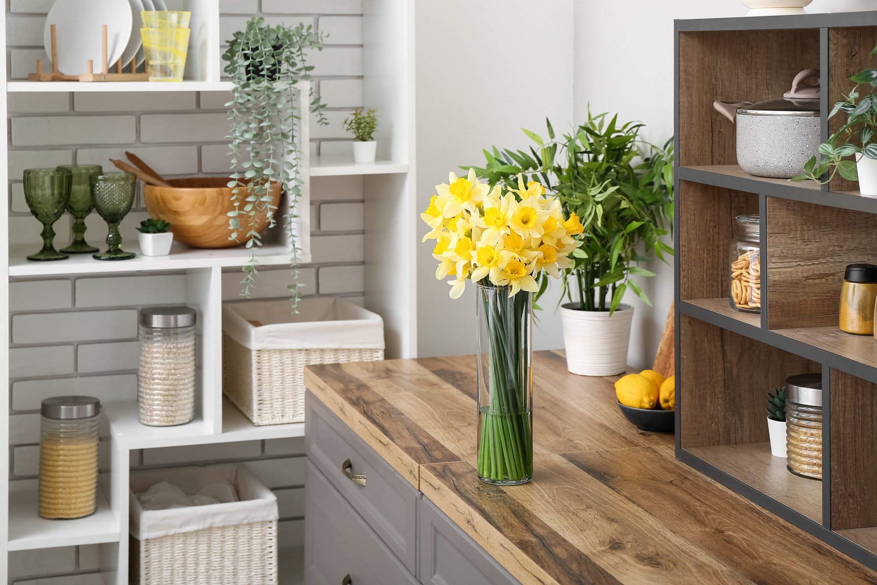 Vase with Blooming Narcissus Flowers on Counter in Interior of Kitchen